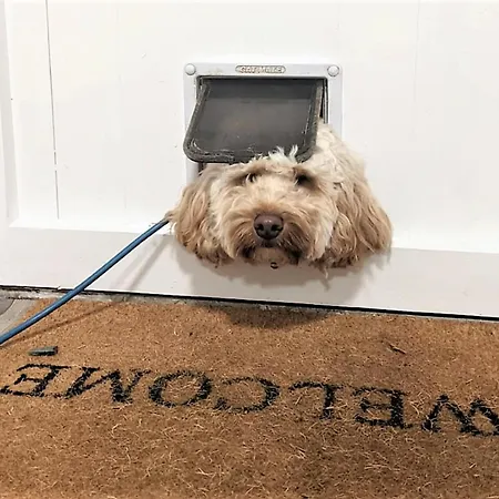 Feriehus 2 Bed In Cockermouth Oc-85680